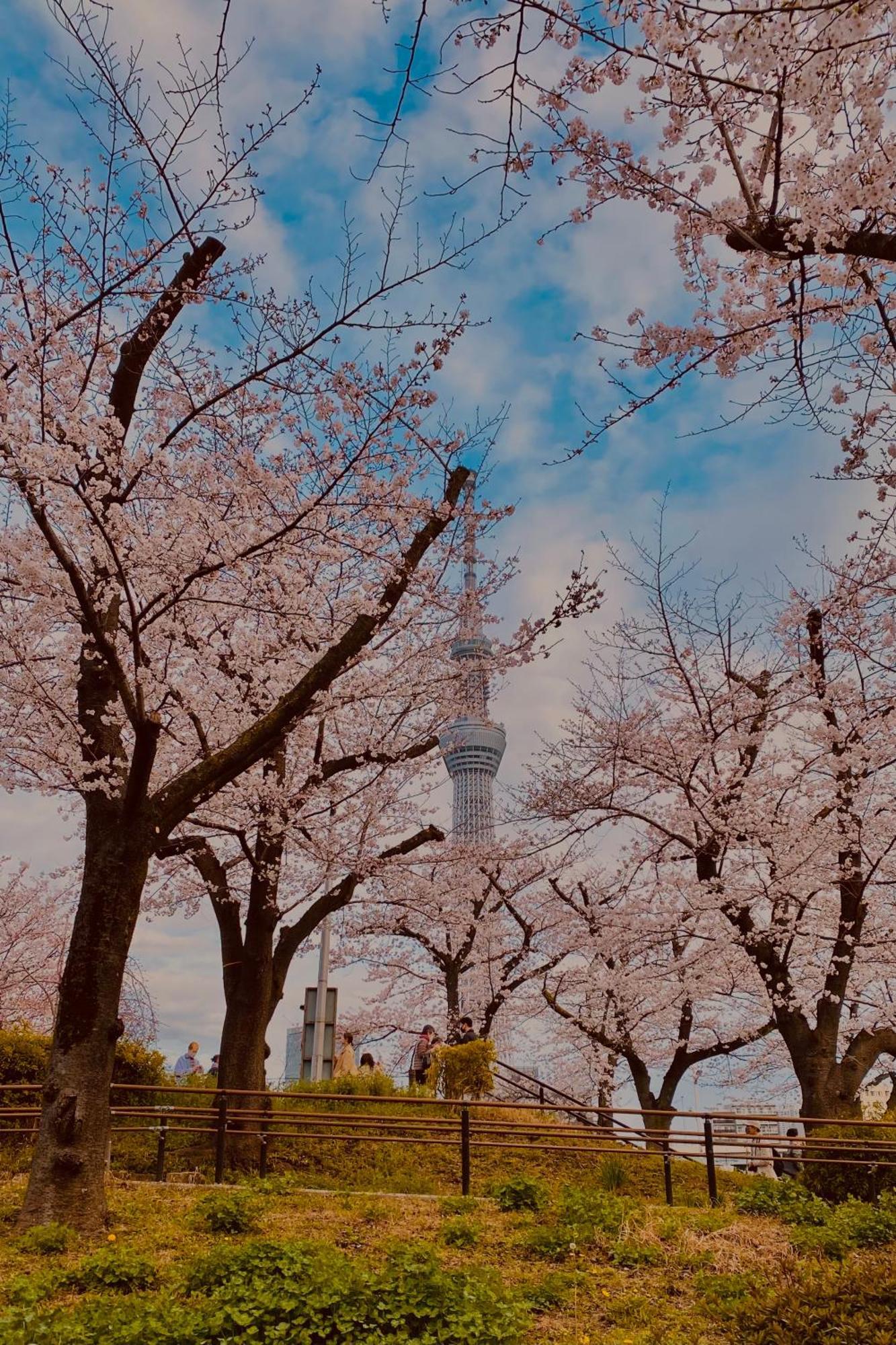 Toe Library Tokyo Asakusa 외부 사진